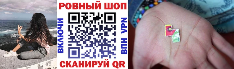 Виды наркотиков купить Отрадный Codein Меф ГАШ COCAIN СК
