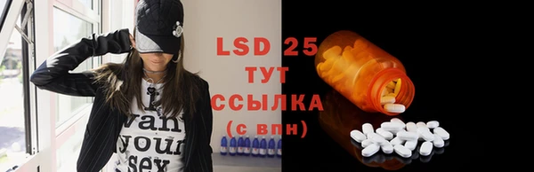 крисы Аркадак