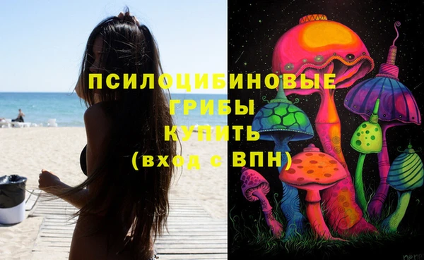 spice Арсеньев