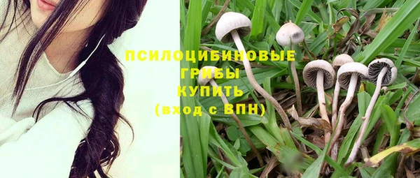 крисы Новозыбков
