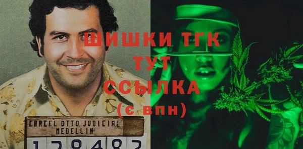 spice Арсеньев