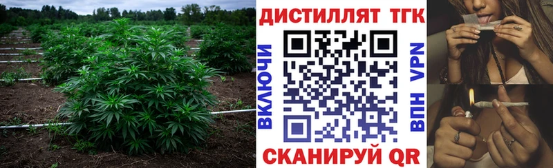 наркота  мега сайт  Дистиллят ТГК THC oil  Отрадный 