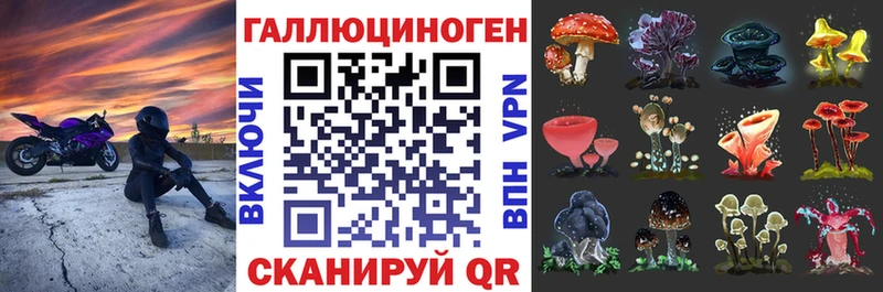 купить  сайты  Отрадный  Псилоцибиновые грибы Cubensis 